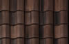 Chestnut