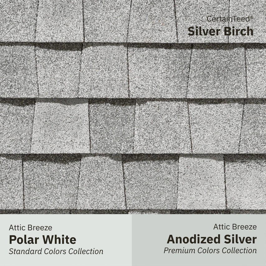 ct silver birch w jet black