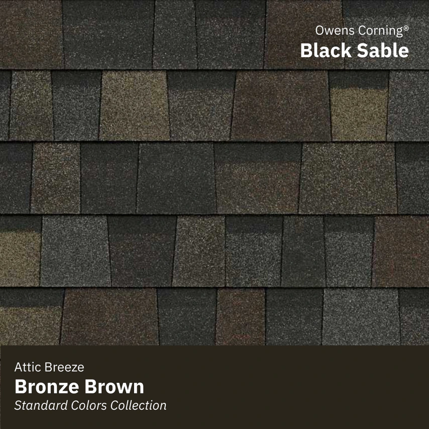 oc black sable w bronze brown